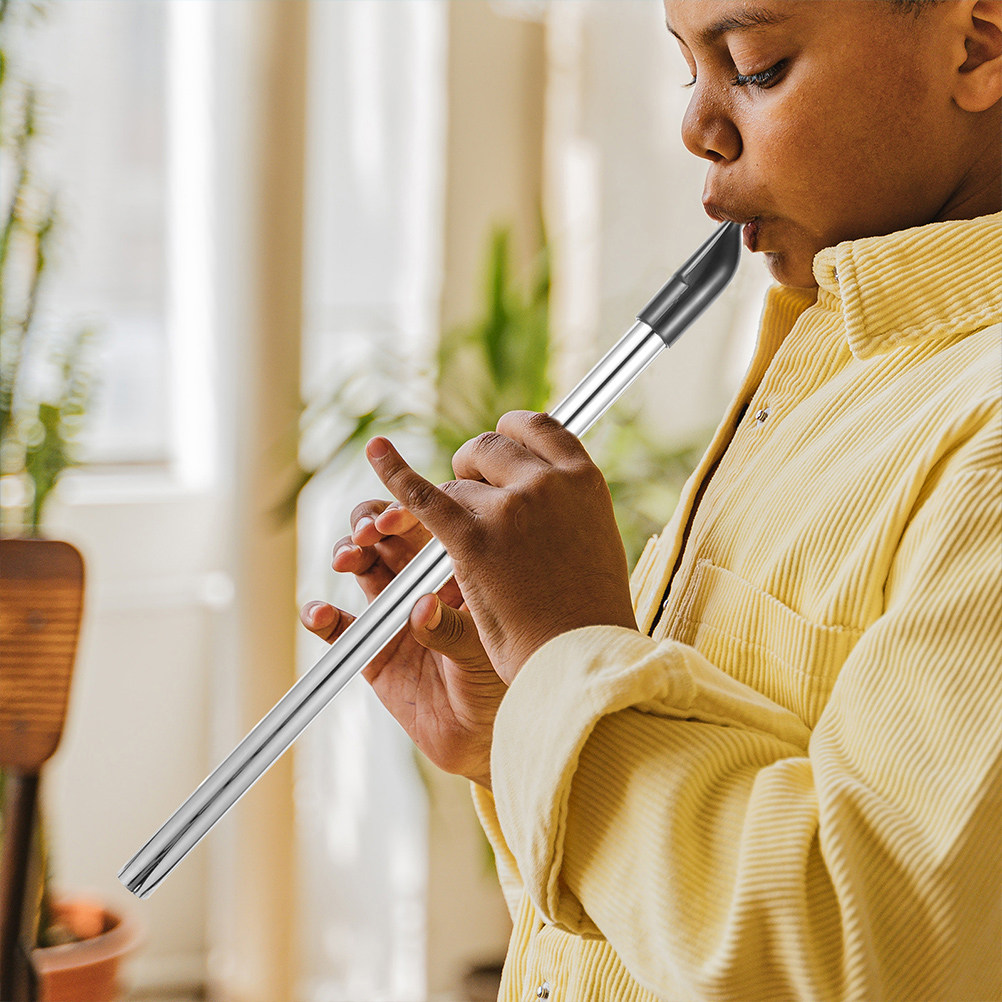 Musical Instrument A Recorder - Rekorder Soprano Logam Kunci D, Instrumen