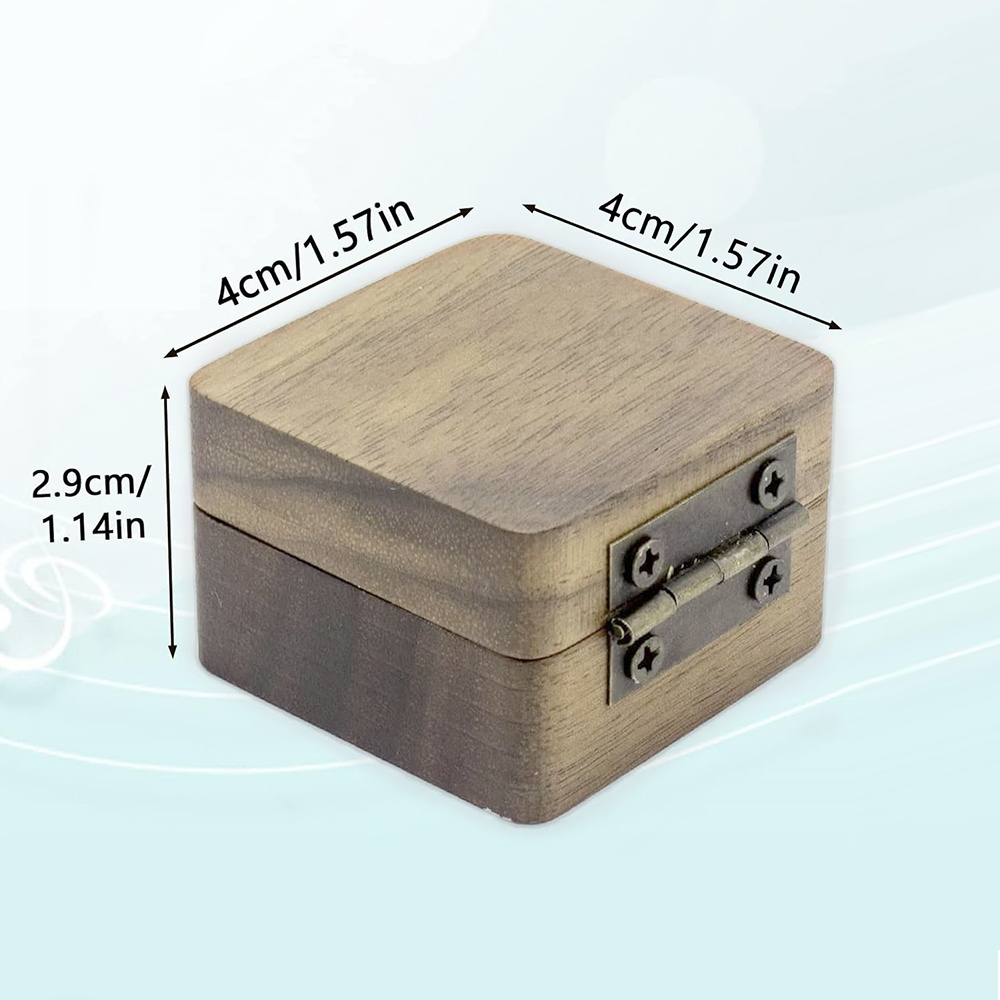 1 Buah Kotak Penyimpanan Pilih - Musical Instrument Images ulasan dan harga