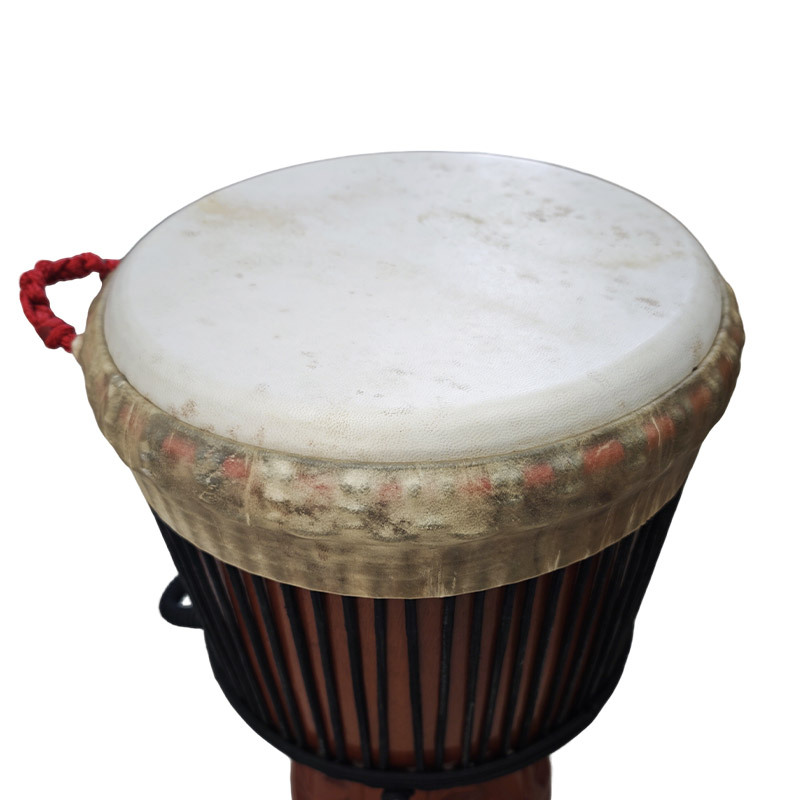 Drum Djembe Kulit Kambing Univ - Djembe Hand Drum ulasan dan harga